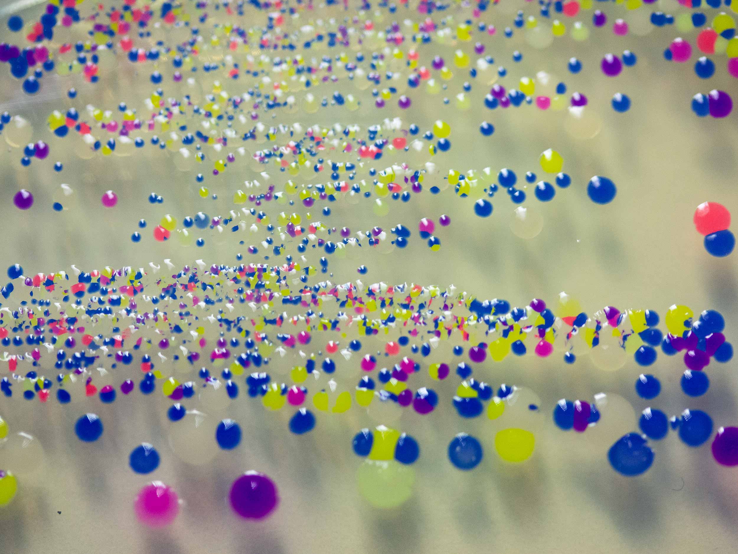 Bunte Bakterien
