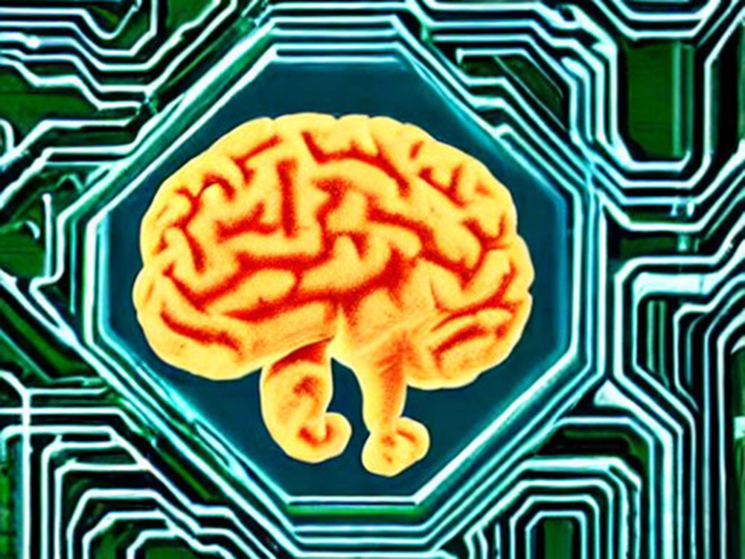 Intelligenz aus Computerchips