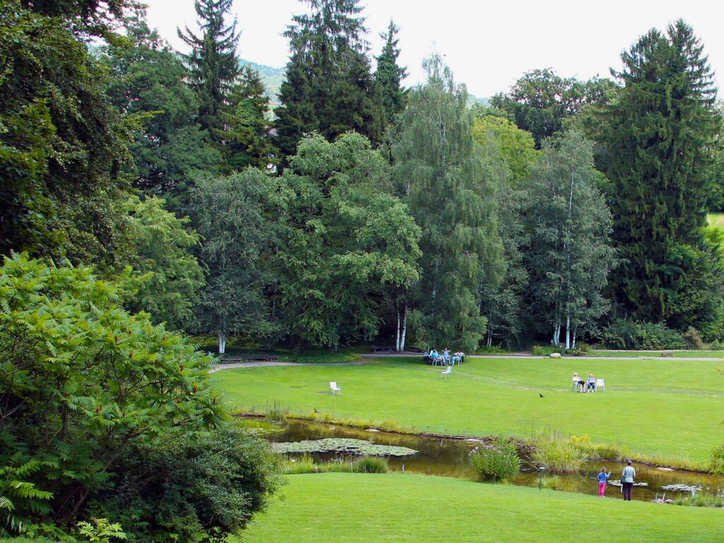 Teich im Botanischen Garten