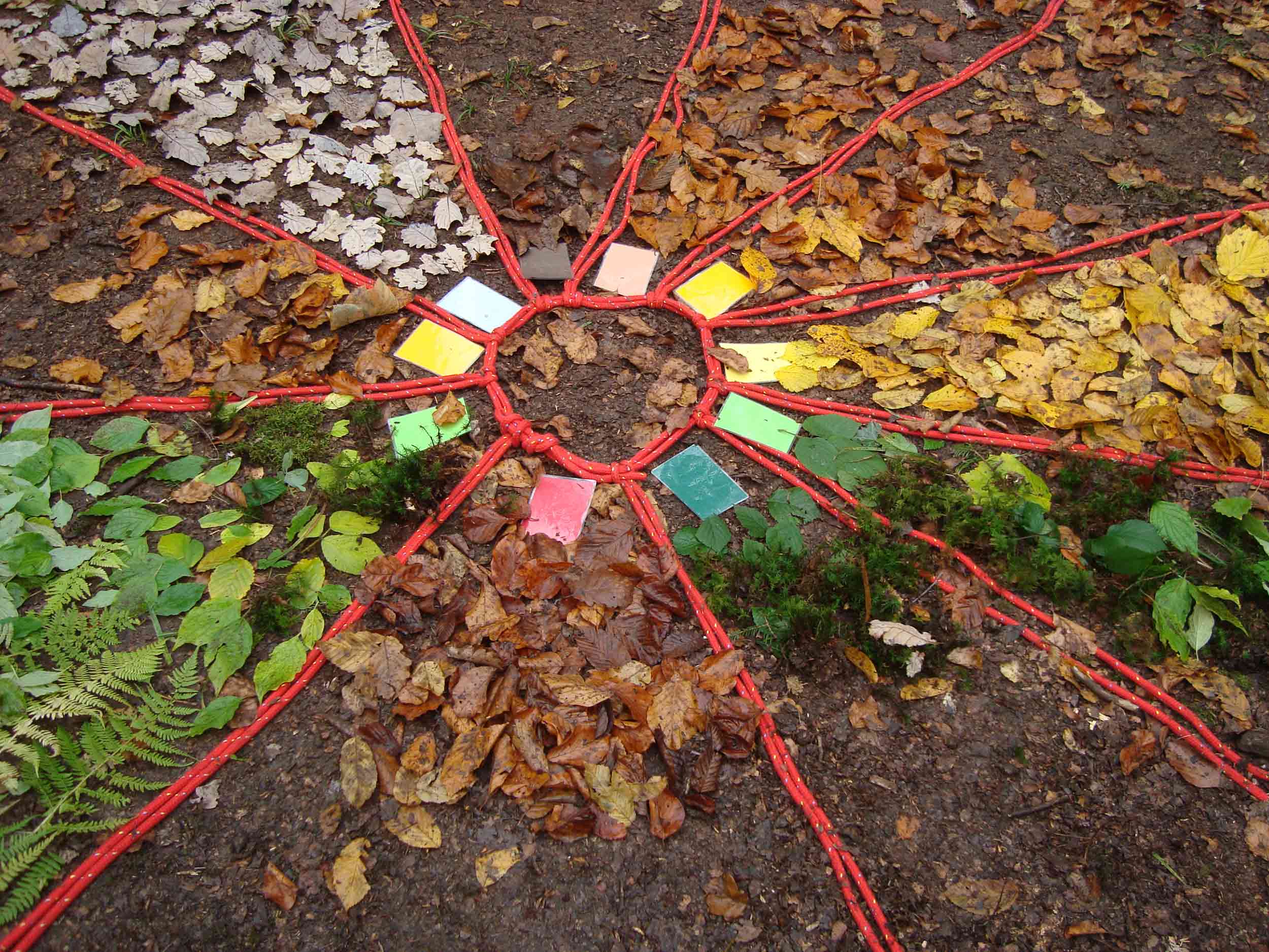 Waldmosaik